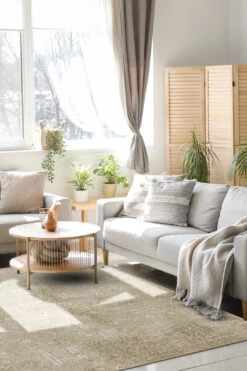 Helene Sandrose Teppich(Helene Sandrose Teppich) -Wohn Teppich Welt 0586 HeleneSandrose Shopify Room 18c9073e 71c8 4dba 99ea c97016e95a87