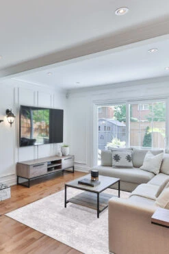 Elsa Silber Teppich(Elsa Silber Teppich) -Wohn Teppich Welt 0603 ElsaSilber Shopify Room