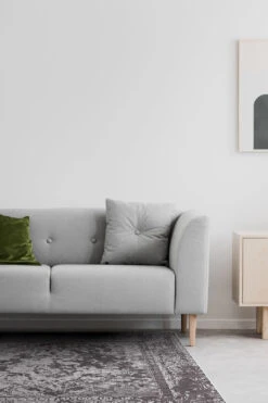 Deborah Barock Teppich(Deborah Barock Teppich) -Wohn Teppich Welt 287 DeborahBarock Quadrat Room