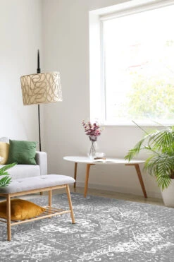 Emily Klassisch Teppich(Emily Klassisch Teppich) -Wohn Teppich Welt 289 EmilyKlassisch Quadrat Room